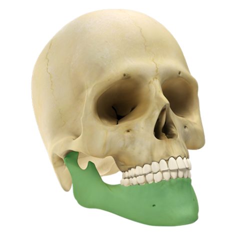 Maxilo Facial GII 2.4 - Sistema de Reconstrução Mandibular