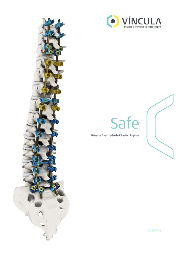 Safe